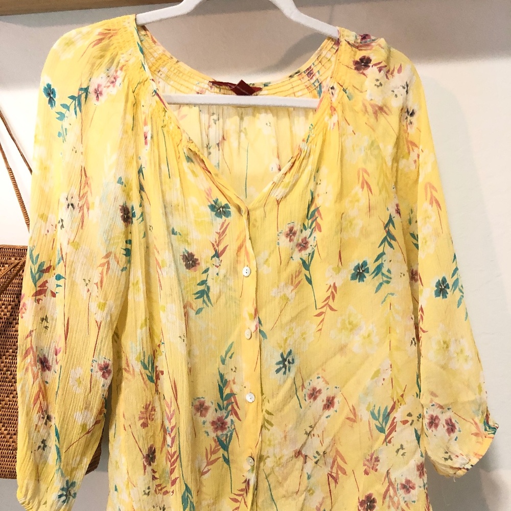 Sundance silk sheer peasant blouse